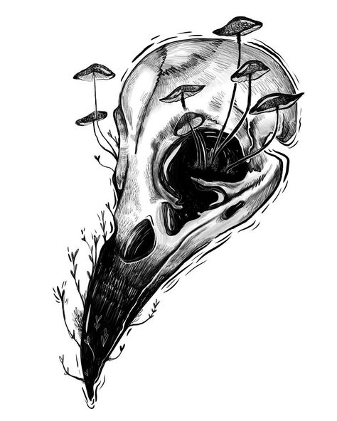 Stephanie Bayles on Instagram: “Crow for #omensdrawingchallenge . . . #crow #blackandwhite #drawing #illustration #skull #blackworknow #art #macabre #dark #darkart…” Stephanie Bayles, Bird Skull Tattoo, Crows Drawing, Art Macabre, Skull Sketch, Crow Skull, Skulls Drawing, Dark Art Drawings, Goth Art