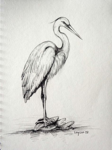 Pencil Sketches Of Animals, Bird Pencil Drawing, Easy Pencil Drawings, Pencil Drawings Of Animals, Nature Art Drawings, Bird Sketch, Animal Drawings Sketches, Nature Sketch, Cool Pencil Drawings