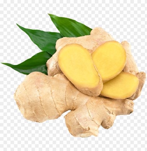 Plantarea Legumelor, Tattoo Plant, Health Benefits Of Ginger, Ginger Benefits, Perennial Herbs, Vegetable Seeds, Plant Seeds, Bonsai Plants, Ginger Root