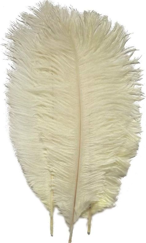 Amazon.com: Sowder 50pcs Natural 8-10inch(20-25cm) Ostrich Feathers Home Wedding Decoration(ivory) : Arts, Crafts & Sewing Wedding Party Centerpieces, Feather Centerpieces, Felt Headband, Coloured Feathers, Wild Grass, Wedding Numbers, Feather Decor, Painted Wine Bottles, Home Wedding Decorations