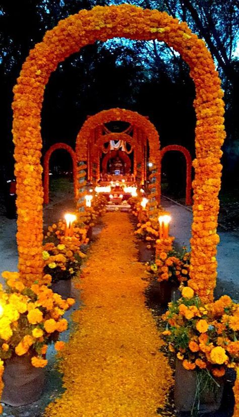 # diadelosmuertos Dia De Los Muertos Outside Decor, Day Of The Dead Outdoor Decorations, Mexican Arch, Day Of The Dead Flowers, Light Walkway, Driveway Path, Day Of The Dead Mexico, Dia De Los Muertos Party Ideas, Dia De Los Muertos Decorations Ideas