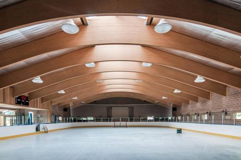 Homes With Their Own Ice Rinks - WSJ Tuscan Village, Ice Hockey Rink, Hockey Arena, Oak Cliff, Ice Skating Rink, Dream Mansion, Detroit Red Wings Hockey, Pittsburgh Penguins Hockey, Red Wings Hockey