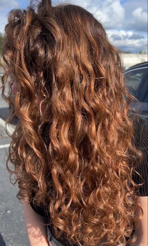 Light Brown Copper Curly Hair, Auburn Brown Hair Curly, Amber Brown Curly Hair, Long Chestnut Hair, Orange Brown Curly Hair, Naturally Curly Auburn Hair, Light Brown Hair With Copper And Blonde Highlights, Auburn Curly Hair With Highlights, Curly Hair Copper Brown