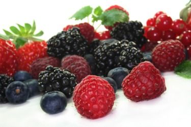 Starting a Pick Your Own Berry Farm  -  A how-to start a business article for individuals with a little land to play with! Vegan Weight Watchers, Mixed Berry Smoothie, Best Smoothie, Edible Wild Plants, Protein Smoothie Recipes, Plant Based Whole Foods, Farm Business, Hemp Protein, Berry Farm