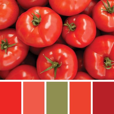 Tomato Color Palette, Corn Moon, Tomato Color, Palette Challenge, Food Inspired, Blue Corn, Color Palette Challenge, Red Colour Palette, Red Tomato