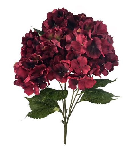 Bloom Room Hydrangea Bush Red | JOANN Nemesia Flowers, Jasmine Bush, Floral Top Outfit, Red Hydrangea, Hydrangea Bush, Hydrangea Colors, Berry Bushes, Floral Signs, Floral Room