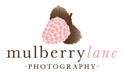 Mulberry Logo, Business Card Logo Design, Jar Packaging, My Dear Friend, Photography Logo, Logo Business, Red Design, Photography Logos, Business Card Logo