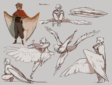 Avian Poses, People With Wings Art Reference, Winged Pose Reference, Bird People Art, Centaur Drawing Reference, Wing Art Reference, Borrowers Art, Wing Reference Drawing, Wing Poses Reference