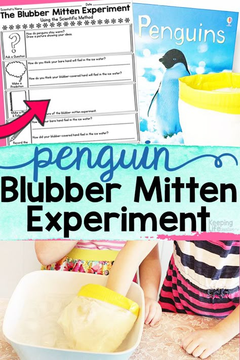 Penguin Experiment, 2nd Grade Science Projects, Penguins Kindergarten, Mr Poppers Penguins, Penguin Crafts Preschool, Penguin Preschool, Antarctic Animals, Penguin Activities, Cold Places