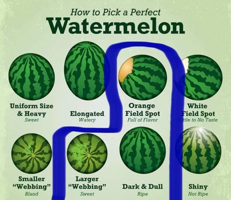 How To Tell If A Watermelon Is Good, Food Saver Hacks, Watermelon Nutrition, Watermelon Nutrition Facts, Amazing Food Hacks, Healthy Food Facts, Food Saver, Food Info, Sweet Snacks Recipes