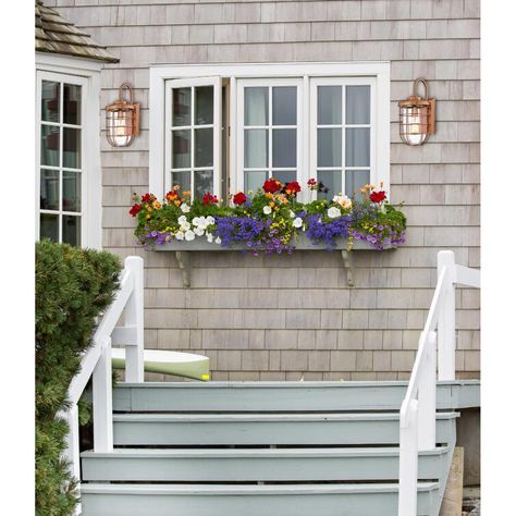 Window boxes ideas