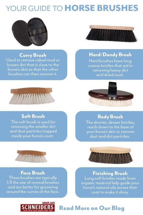 Your Guide to Horse Brushes How To Groom A Horse Properly, Horse Care Hacks, Horse Buisness Ideas, How To Groom A Horse, How To Care For Horses, Caring For Horses, Horse Tack Knowledge, How To Care For A Horse, Things For Horses