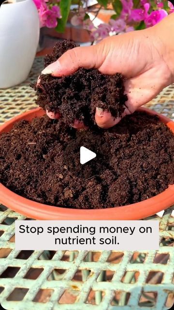 1,207 likes, 5 comments - garden_hacks_tips on June 23, 2024: "No need to buy nutritious soil anymore #gardening #garden #gardeningtips #gardenlife #gardeninspiration #gardenideas #gardenlove #gardendesign #gardenersofinstagram #gardenersworld #garden_styles #gardenphotography #gardenlovers #gardenerslife #gardenart #gardenbeauty #gardensofinstagram #gardenplants #gardenviews #gardenersparadise #gardenista #gardeningcommunity #gardenloversclub #gardenaddict #gardeners #gardenerslife". Crab Cactus, Plant Remedies, At Home Garden, Water Plants Indoor, Fairy Garden Pots, Garden Hacks Diy, Hydroponics Diy, Easy Gardening, Garden Remedies