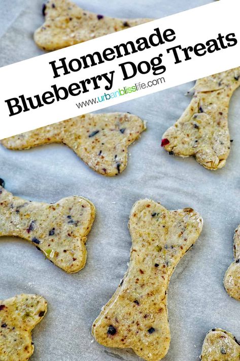 Avocado Dog Treats, Blueberry Oatmeal Dog Treats, Homemade Dog Treats With Blueberries, Blueberry Yogurt Dog Treats, Veggie Dog Treats, Blueberry Dog Treats Homemade Easy, Pumpkin Blueberry Dog Treats, Yogurt Dog Treats Recipes, High Fiber Dog Treats Recipe