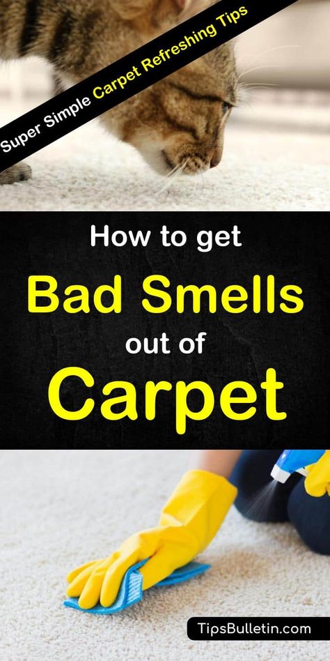 How To Get Rid Of Carpet Odor, Pet Oder In Carpet, Remove Vomit Smell From Carpet, How To Remove Pet Odor From Carpet, Getting Rid Of Dog Urine Smell In Carpet, How To Get Rid Of Pee Smell In Carpet, How To Remove Smell From Carpet, How To Get Rid Of Pet Urine In Carpet, How To Clean Pee Out Of Carpet