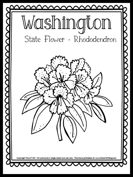 Washington State Flower Coloring Page - Rhododendron {FREE Printable!} - The Art Kit Washington State Coloring Pages, Washington State Flower Tattoo, 50 States Coloring Pages, Washington State Tattoo, State Flower Tattoo, Washington State Flower, West Virginia Tattoo, West Virginia State Flower, Virginia State Flower