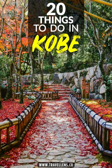 Kobe Fadeaway, Kobe Paras Instagram, Kobe Japan Itinerary, Things To Do In Fukuoka Japan, Kobe 4 Protro, Kobe City, Flower Park, Sakura Festival Japan, Japan Hotel