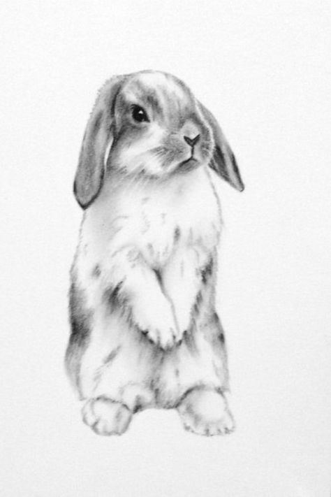 pet tattoo inspo inspiration idea idea rabbit lop bunny realistic tatts tats Lop Bunny, Bunny Tattoo, A Messy Bun, Tattoo Inspo, Messy Bun, Year Old, Bullet Journal