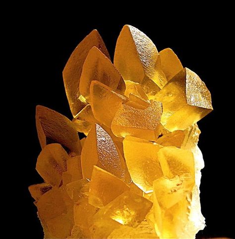 Here's a nice 3" piece of golden calcite from Brazil, lit with a 50 watt halogen lamp.  By howie516 Golden Calcite, Yellow Crystals, Minerals Crystals Rocks, Garden Types, Beautiful Stones, Beautiful Rocks, Calcite Crystal, Mineral Stone, Minerals And Gemstones