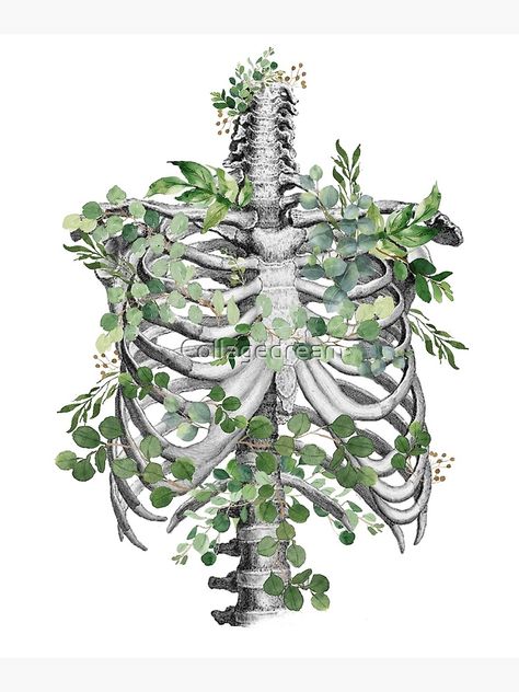 Plant Skeleton Art, Skeleton Nature Art, Skeleton Ribcage Drawing, Ribcage Embroidery, Ribs With Flowers, Rib Cage With Flowers, Rib Cage Art, Ribcage Drawing, Ribcage Art