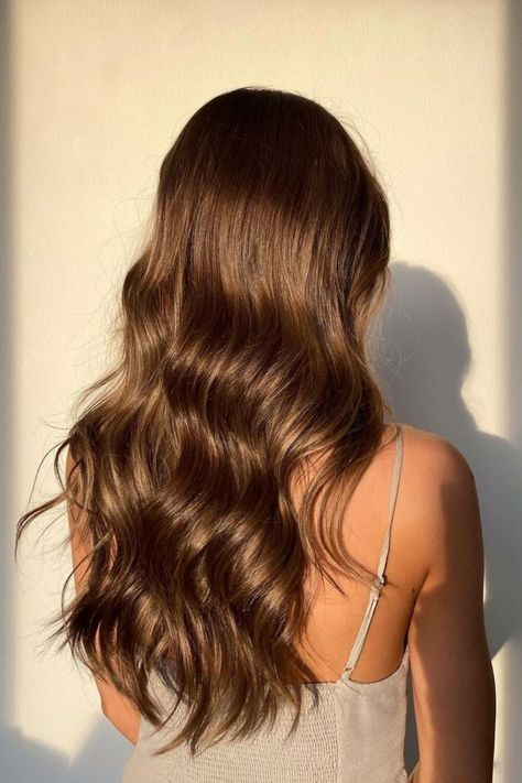 Brown Hazelnut Hair, The Perfect Brown Hair, Burnette Hair Color, Brunnete Hairstyle Ideas, Brown Colored Hair, One Colour Hair Dye, Light Brown Hair Colors Chocolate, Brown Hair Colors Honey, Level 7 Hair Color Brown