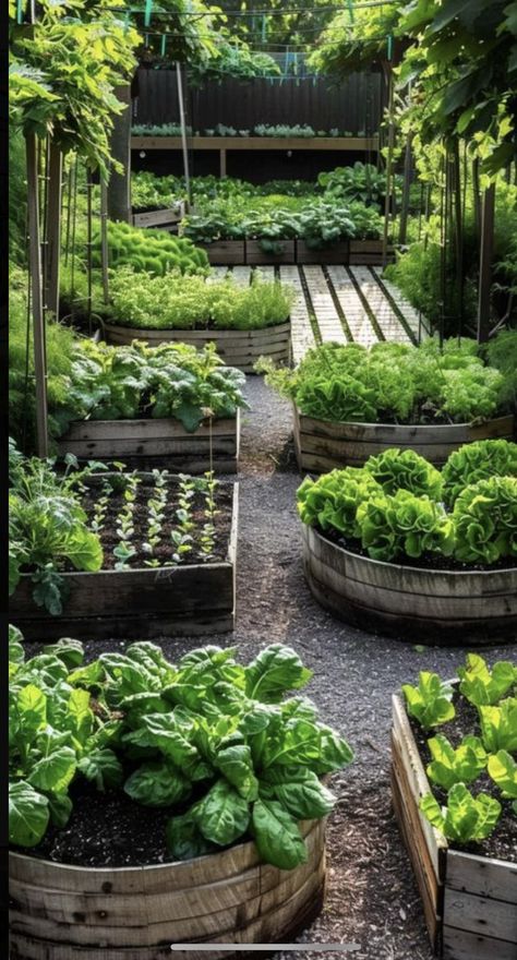 Garden Hacks, Potager Garden, Veg Garden, Home Vegetable Garden, Garden Yard Ideas, Vegetable Garden Design, Garden Layout, Veggie Garden, Small Gardens