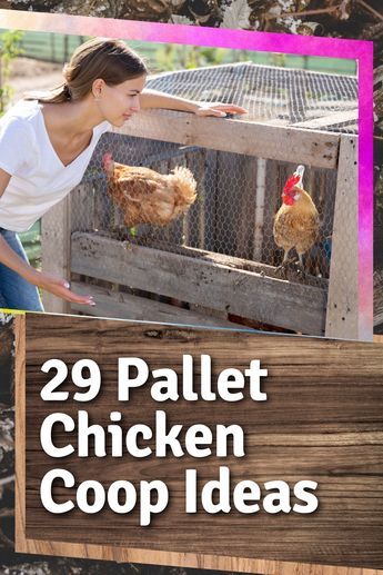 Pallet Chicken Coop, Chicken Coop Designs Diy, Easy Diy Chicken Coop, Chicken Coop Plans Free, Chicken Coop Ideas, Cheap Chicken Coops, Chicken Coop Pallets, Mobile Chicken Coop, Chicken Coop Garden