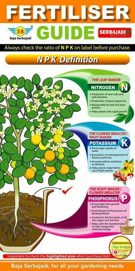 Gardening Cheat Sheet, Fertilizer For Flowers, Diy Fertilizer For Plants, Growing Autoflowers Indoors, How To Make Fertilizer For Plants, Diy Fertilizer For Vegetable Garden, Make Plant Fertilizer, Plant Fertilizer Guide, Plant Deficiencies