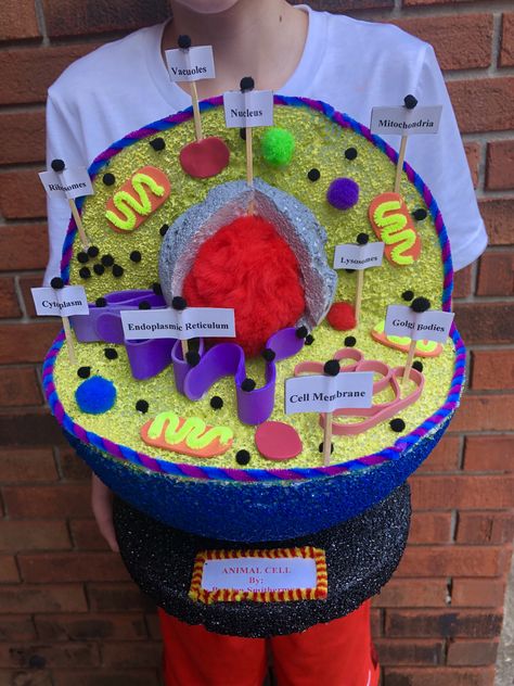 Creative Animal Cell Model Project Ideas, Cell Structure Project, 3d Animal Cell Project 7th Grade, Cell Project Ideas Models, Cell Diagram Project, Cell Project Ideas, 3d Animal Cell Project, 3d Cell Project, Animal Cell Model Project