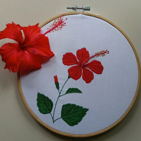 রক্তজবা 🌺🌺❤️❤️ Beautiful Hibiscus flower 🌺 #embroidery #embroideryart #flowerembroidery #floraldesign #hibiscus #embroiderytherapy❤ #embroideryartwork #handembroidered #handcfrafted #handembroidery #needlepainting #needlework #stitch #stitchtherapy #aestheticembroidery #🌺 #floralart #needleart #textileart #hibiscus🌺 Hibiscus Flower Embroidery, Hibiscus Embroidery, Wallpaper Boho, Phone Wallpaper Boho, Fondant Animals, Garden Fairy, Flower Embroidery Designs, Hibiscus Flower, Needle Art