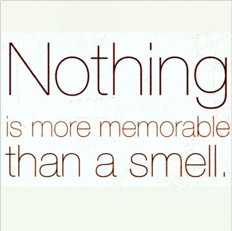 Scent quote "Nothing is more memorable than a smell" Cologne Quotes, Smell Quotes, Fragrance Quote, Perfume Quotes, Perfume Versace, Fragrance Lab, Lotion Candles, Candle Quotes, Spoken Words