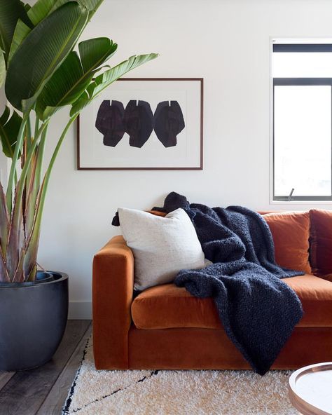 dreamy burnt-orange velvet sofa Burnt Orange Living Room Decor, Burnt Orange Living Room, Orange Couch, Colourful Living Room Decor, Orange Sofa, Living Room Orange, Living Room Decor Colors, Ideas Hogar, Colourful Living Room