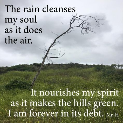 The Rain Cleanses My Soul Spirituality, Bath, Wise Words, Encouragement, Rain Cleanse, Rain Sticks, Cleanse Me, The Rain, Words Of Wisdom