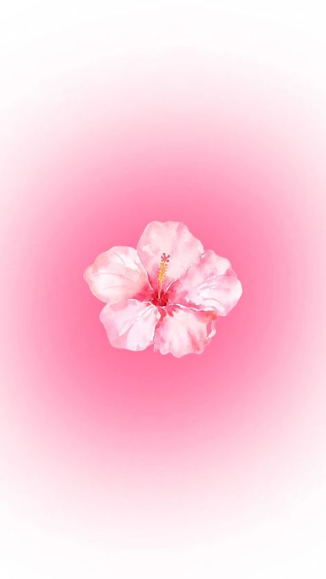 #hibiscus 🌺 ليلو وستيتش, Pink Wallpaper Ipad, Pretty Wallpaper Ipad, Cute Images For Wallpaper, Cute Home Screen Wallpaper, Pink Flowers Wallpaper, Cute Summer Wallpapers, Pink Wallpaper Backgrounds, Phone Wallpaper Pink