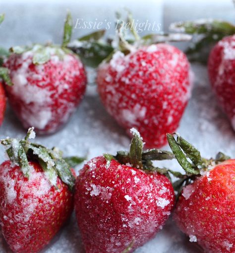 “Sugar Coated Strawberries” #essiesdelights#ctbaker#strawberry#strawberries#fruit#desserts#foodporn#foodpics#baking#sweets#foodphotography Sugar Coated Strawberries, Strawberries And Sugar, Sugared Strawberries, Sugar Tattoo, Coated Strawberries, Dessert Treats, Strawberry Fruit, Baking Sweets, Covered Strawberries