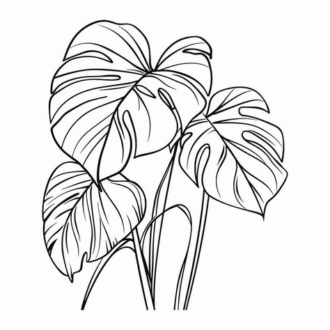 Monstera Botanical Illustration, Monstera Line Drawing, Botanical Drawings Black And White, Monstera Plant Wallpaper, Monstera Leaf Drawing, Minimal Sketch, Big Leaf Plants, White Monstera, Plant Prints