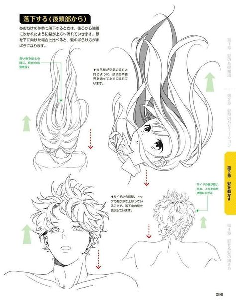 Anime Back Of Head Reference, Hair Angles Reference, Back Of Head Reference Hair, Anime Head Reference Angles, Hair Angles Drawing, Back Of Head Drawing Hair, Flowing Hair Reference, Hair Angles, Anime Head Reference