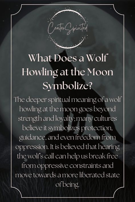 With its mysterious and enchanting sound, there is something magical about the experience of hearing a wolf howling at night in the darkness of the mo...https://centerspirited.com/animal-symbolism/wolf-howling-at-the-moon-spiritual-meanings-symbolism/ Wolf Spiritual Meaning, Wolf Howling At The Moon Tattoo, Wolf Magic Begin Now, Wolf Howling Tattoo, Wolf Moon Tattoo, Wolf Meaning, Wolf Mythology, Wolf And The Moon, Spiritual Calling