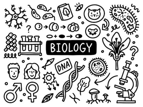 Biology doodle line set school universit... | Premium Vector #Freepik #vector #doodle #doodle-sketch #cartoon-doodle #cartoon-line Biology Doodle Art, Cute Biology Doodles, Biology Drawing Ideas, Science Mural, Biology Doodles, Dna E Rna, Biology Drawing, Cover Page For Project, Science Drawing