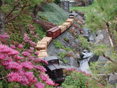 Garden Train, Mountain Garden, Garden Railings, Garden Trains, Garden Railroad, Garden Railway, Light Purple Flowers, Model Train Scenery, Model Ideas