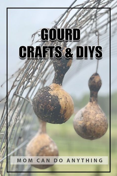 Have you ever done a craft or DIY with a gourd? Did you know there are so many different ideas? #momcandoanything #gourds #gourdcrafts #gourddiys #diyhomedecor #lanters #birdhouses #christmasornaments #bowls #homedecor #easycrafts #gourd #ideas Long Neck Gourds Painted, Ideas For Gourds, Gourd Diy Craft Ideas, Things To Do With Gourds, Birdhouse Gourds Ideas Diy, Gords Crafts Diy, Pumpkin Gourds Fall Decorating, Gourds Crafts Projects Ideas, Gourd Lights Diy