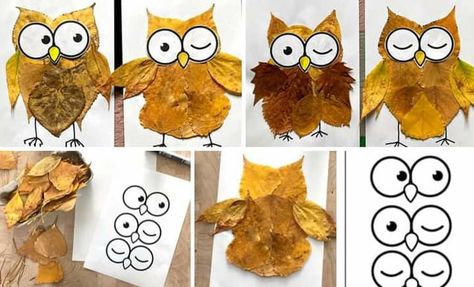 Science Camp Activities, Autumn Activities For Kids, Leaf Crafts, Forest Theme, Autumn Crafts, Camping Activities, Preschool Fun, Fall Holidays, Autumn Activities