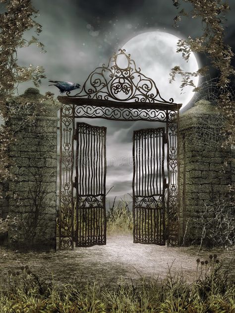 Raven Illustration, Gate Images, Vampire House, Old Gates, Theme Photography, Episode Interactive Backgrounds, Photography Backgrounds, Moon Pictures, Night Scenery