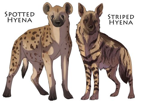 Animal Human Hybrid Oc, Animal Human Hybrid, Hybrid Oc, Odd Animals, Brown Hyena, Human Hybrid, Striped Hyena, Cousin It, Spotted Hyena