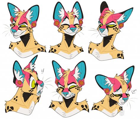 Anthro Cat, Expression Sheet, Arte Animal, Facial Expressions, Cat Drawing, Art Inspiration Drawing, Art Reference Photos, Character Design Inspiration, Animal Drawings