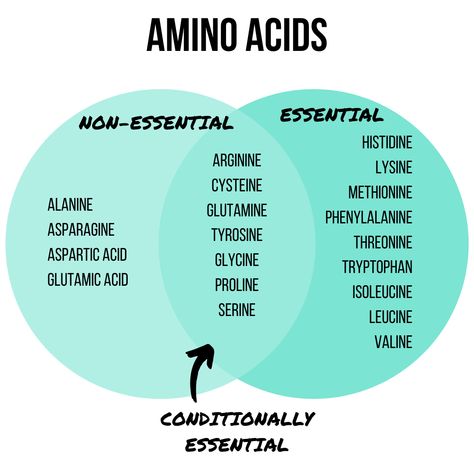 Amino Acids - Essential vs Non-Essential | Amino acids are the building blocks of protein, but why is protein so important anyway? This article covers benefits of protein, how much you need, and sources #chelseadishes #protein101 #aminoacids #nutritioninfographic #nutritionfacts Amino Acids For Muscle, Amino Acids Benefits, Chemistry Facts, Benefits Of Protein, Foods That Contain Protein, Biochemistry Notes, Protein Benefits, Benefits Of Mindfulness, Essential Amino Acids