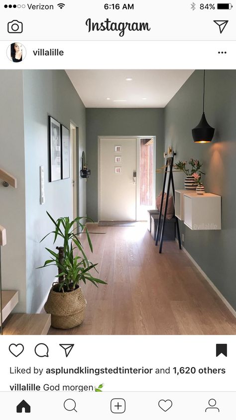 Sage Green Hallway, Hallway Colour Ideas, Hallway Wall Colors, Hallway Colour Schemes, Hallway Paint Colors, Green Hallway Ideas, Entrance Hall Decor, Hall Colour, Hallway Paint