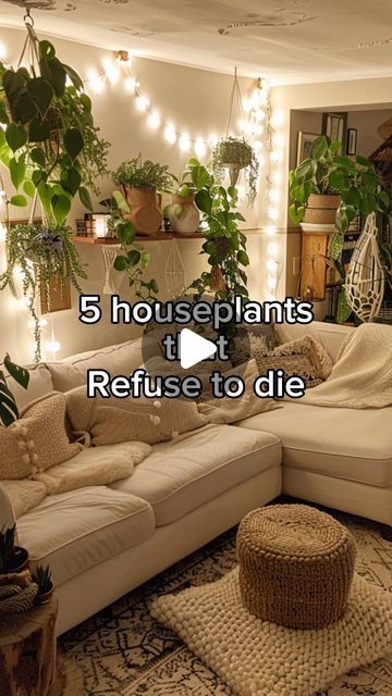 RootGrowings on Instagram: "5 Houseplants that refuse to die, ideal for those with a less-than-green thumb! 🌱🚫💧 From the resilient Cast Iron Plant (Aspidistra elatior) thriving in dark corners to the hardy Jade Plant (Crassula ovata), perfect for the forgetful waterer. #IndestructiblePlants #PetSafe #LowLightLovers #PlantLove" Indoor Plant Corner, Aspidistra Elatior, Adu Ideas, Indoor Garden Apartment, Redesign Ideas, Black Plant, Patio Flowers, Cast Iron Plant, Corner Plant