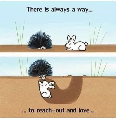 Porcupine bunny find love in friendship because the bunny found a way. There is always a way to reach out and love Healing Quotes Spiritual, Cartoon Images, Cute Comics, Healing Quotes, Spiritual Healing, Pretty Words, Pretty Quotes, Beautiful Quotes, Cute Art