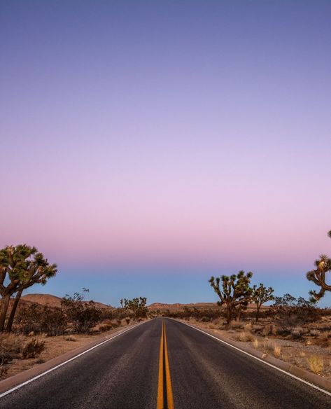 Driving through the desert along the road with a gorgeous California sunset. 📷: Chris Grant Palm Desert Aesthetic, California Desert Aesthetic, Desert Drive, Sunset Drive, Sunset Road, Desert Aesthetic, Desert Road, Ipad Aesthetic, Palm Spring